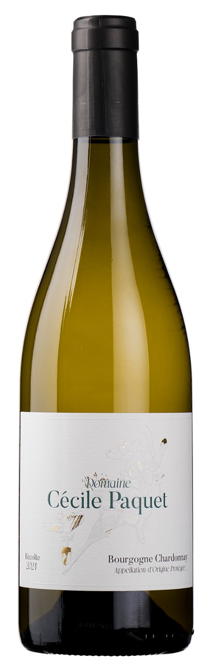 CHARDONNAY 2024