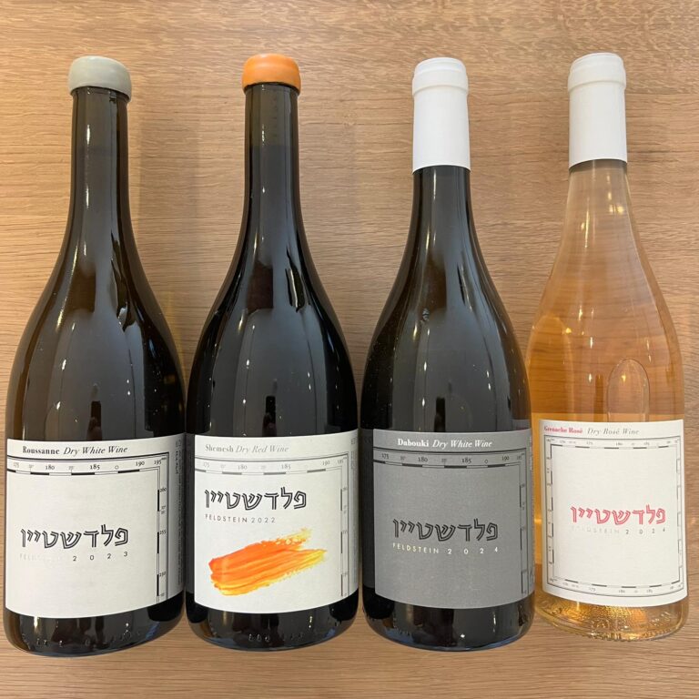 פלדשטיין